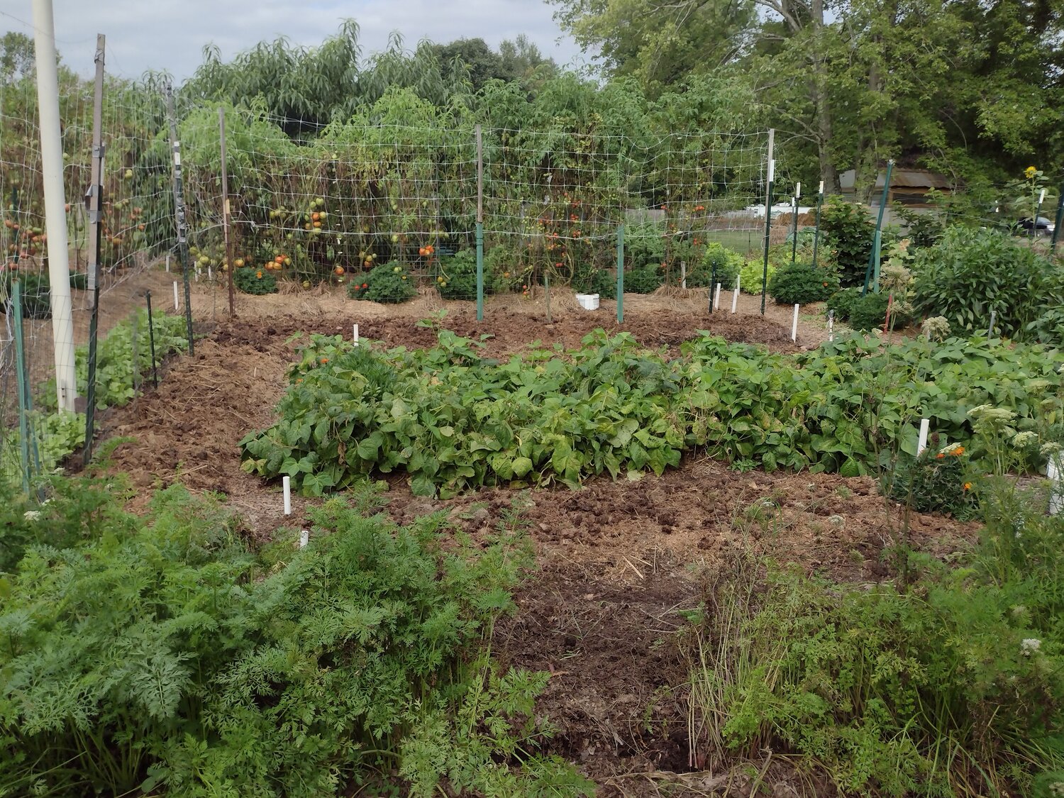 The Victory Garden’s maze-like layout keeps out animals too, because deer like to have a clear way in and out.